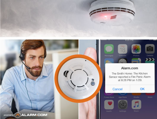 fire and smoke detection for business security